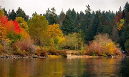 Les couleurs d’automne au bord de Sproat Lake, près de Port Alberni.