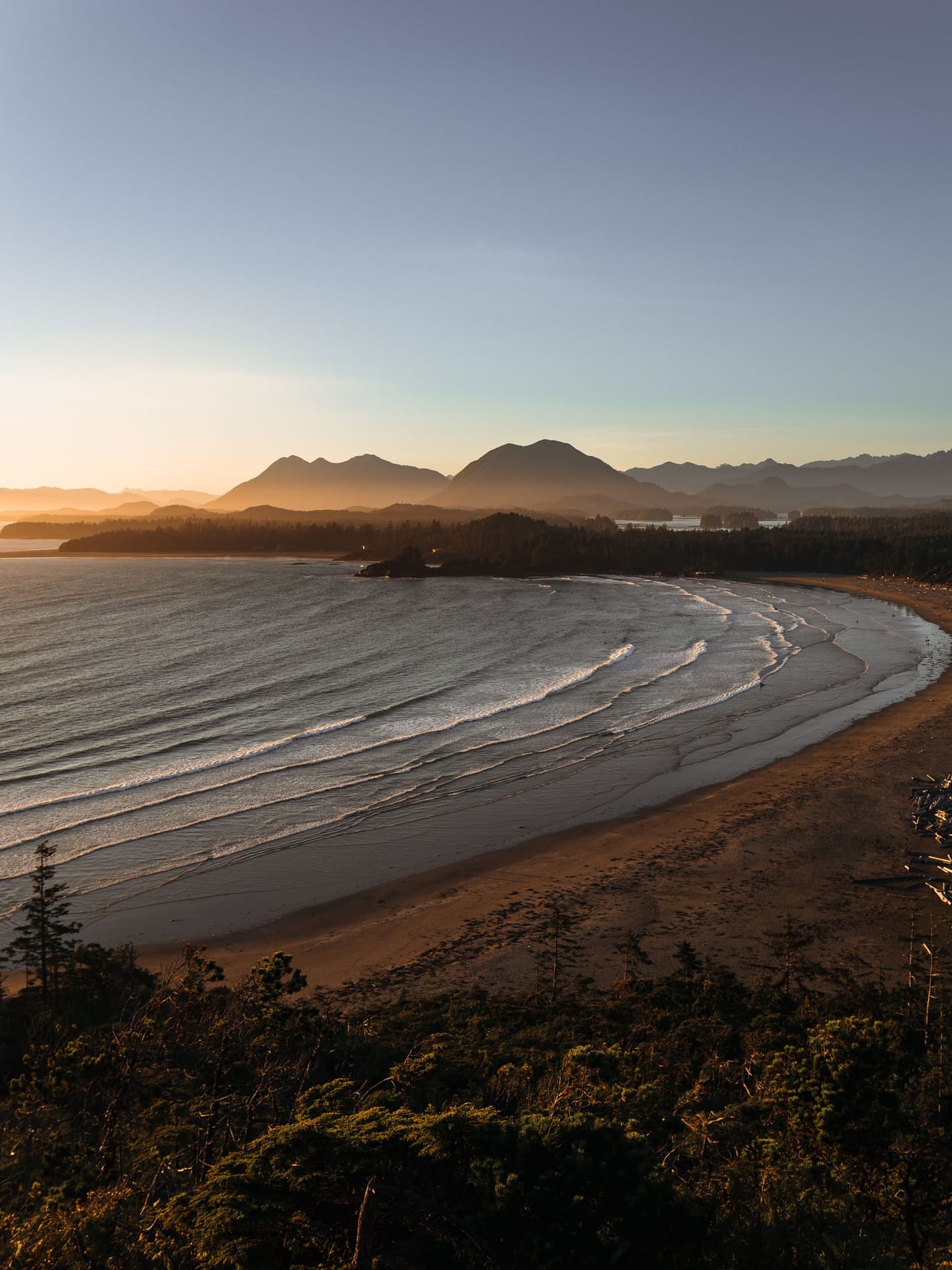 Une baie de Tofino dans la lumière dorée du soir, ses rouleaux et ses montagnes en arrière-plan.