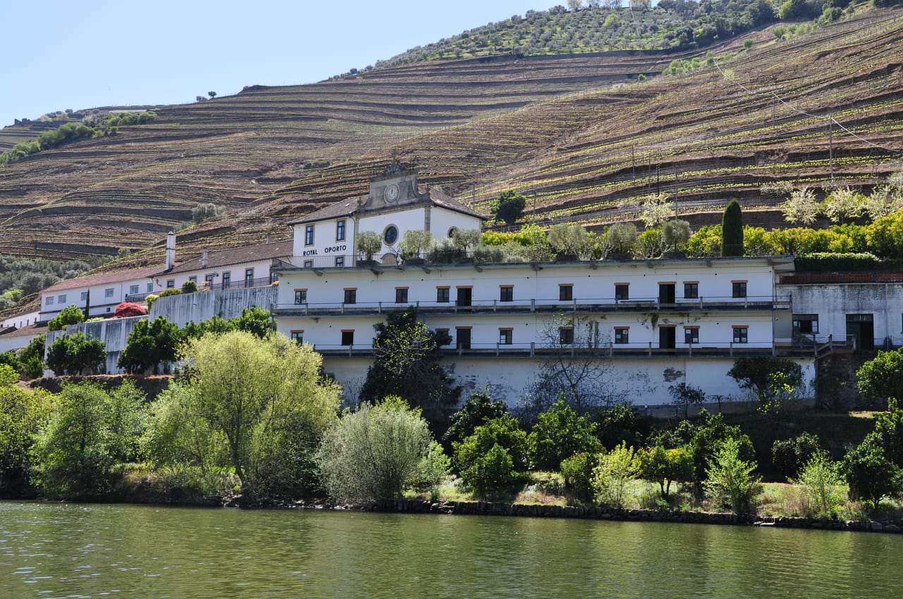 La Quinta das Carvalhas et ses terrasses de vigne, au bord du Douro, face à Pinhão.