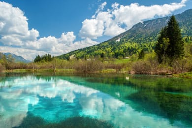 La source de Zelenci et son eau verte.