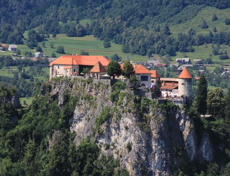 Le château de Bled sur sa falaise, au-dessus des forêts.