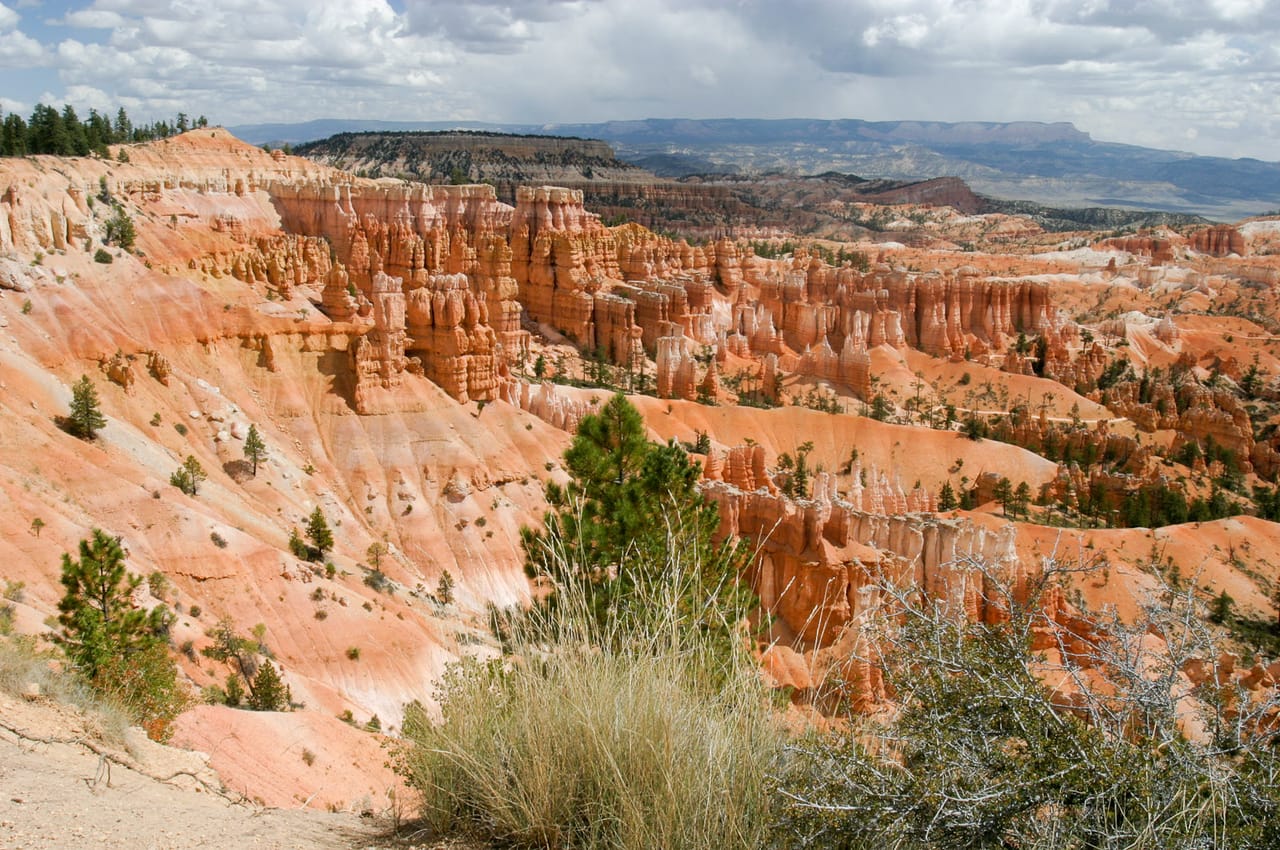 The hoodoos of Bryce Canyon, near Sunset Point.