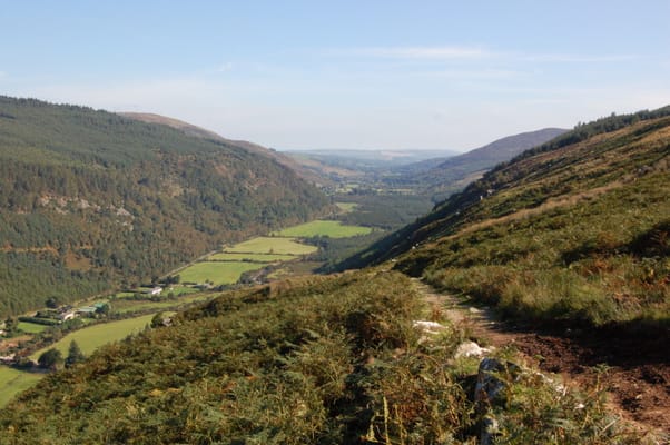 La vallée glaciaire de Glenmalure, entre prairies, fougères et forêt.