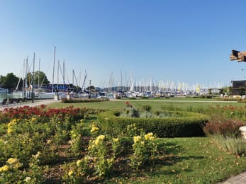 Le port de plaisance de Balatonfüred, derrière les roses du parc.