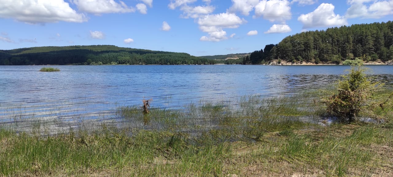 Le lac Cecita, dans la Sila, entre forêts de pins et prairies.