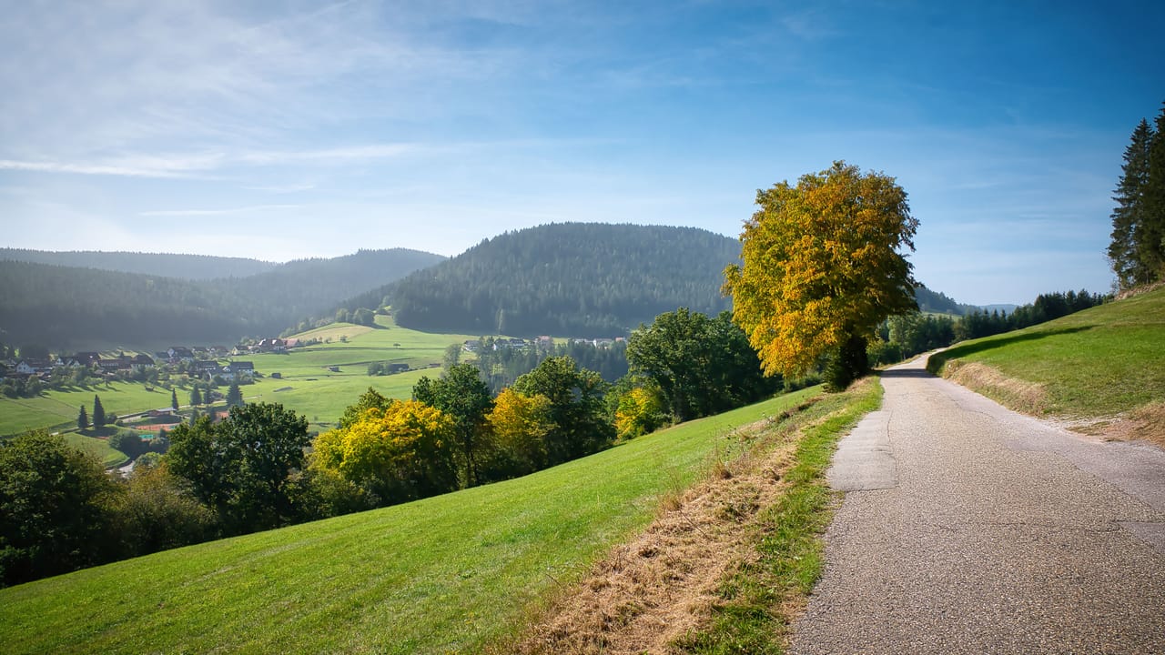 Une petite route de Baiersbronn entre prés verts et collines de sapins, au début de l’automne.