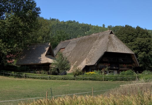 Le Vogtsbauernhof, ferme de 1612 sous son grand toit de chaume, à Gutach.
