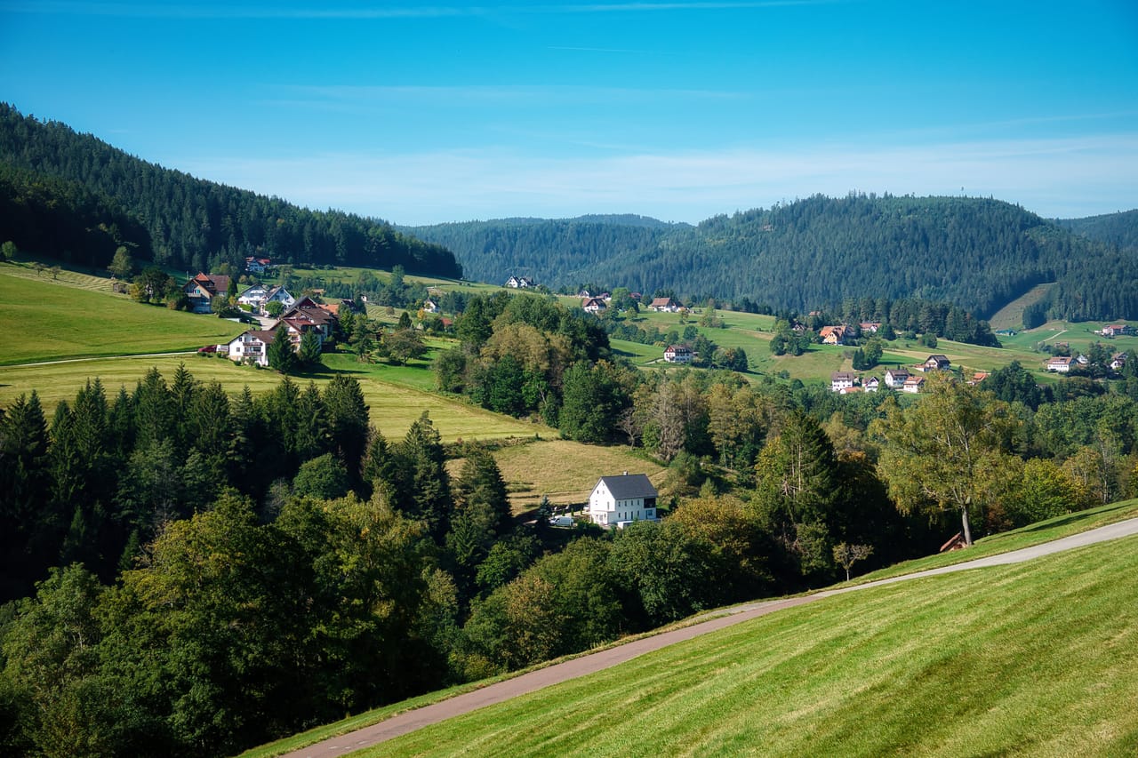 Les collines de Baiersbronn en été, leurs fermes éparses entre prés et forêts de sapins.
