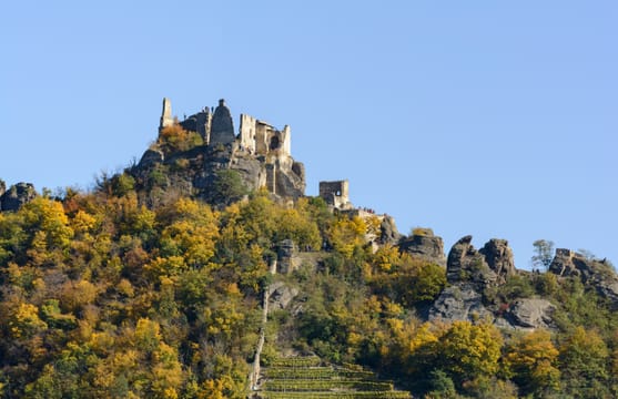La ruine de Dürnstein sur ses rochers, au-dessus des vignes et des arbres d’automne.