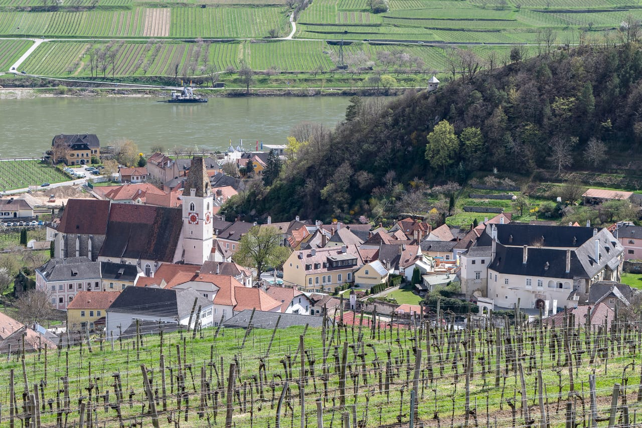 Spitz et son clocher vus depuis les vignes, au bord du Danube.
