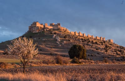 Le château de Gormaz au-dessus du Duero.