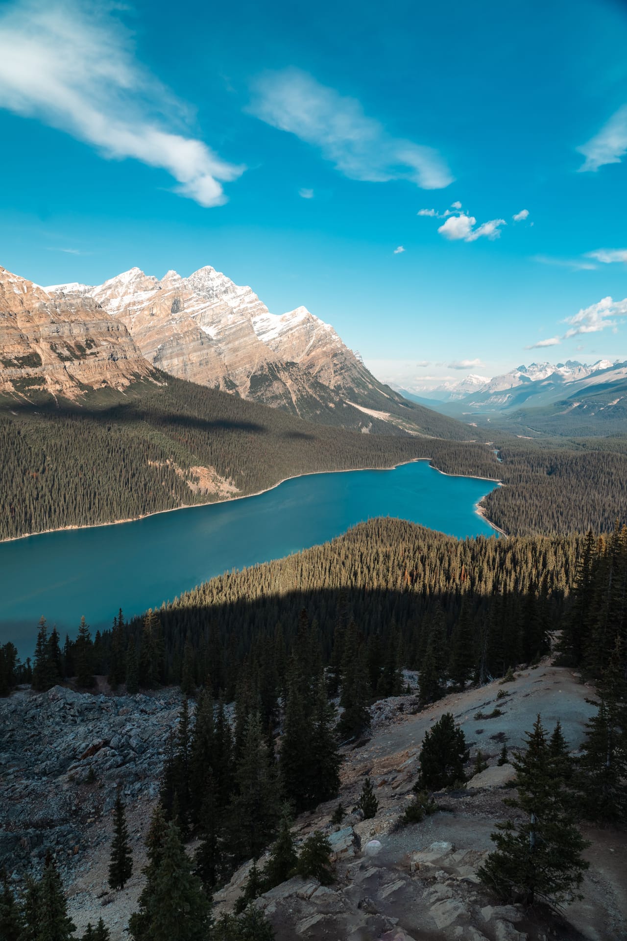 Peyto Lake vu d’en haut, d’un bleu turquoise au milieu des forêts et des sommets.