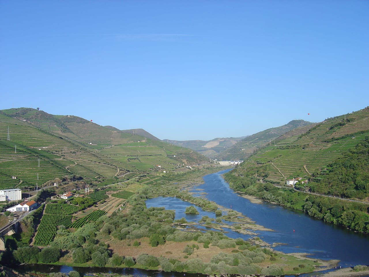 La vallée du Douro près de Peso da Régua : vignes en terrasses, îlots et, au fond, le barrage de Bagaúste.