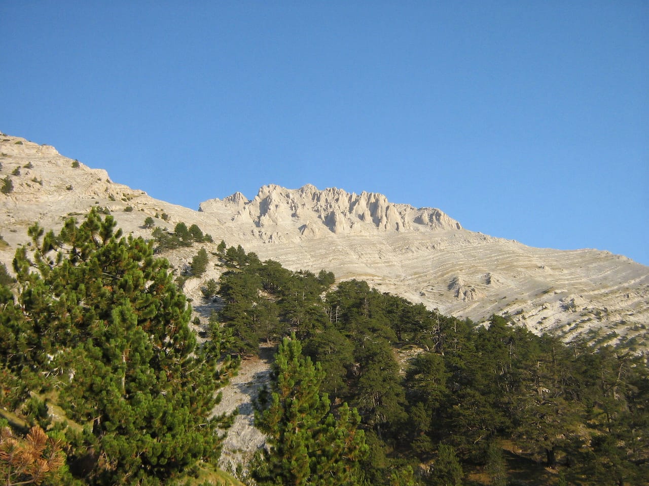 Les crêtes calcaires de l’Olympe au-dessus des pins, sous un ciel d’été.