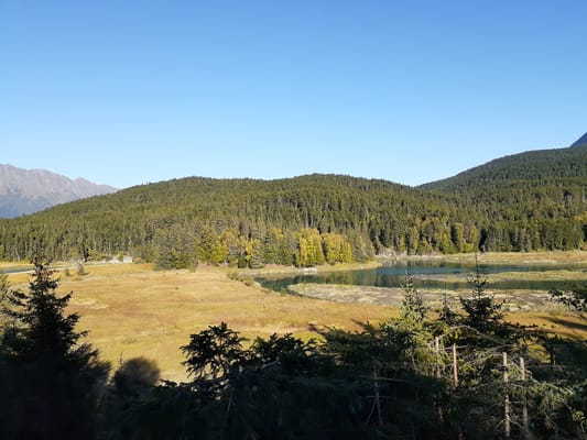 Le site de l’ancien quai de Sunrise, entre la forêt d’épicéas et Sixmile Creek.