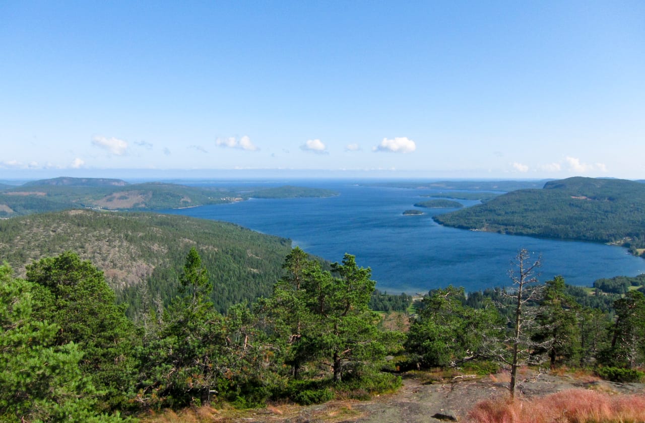 Une baie de la Haute Côte entre les collines de pins, avec le golfe de Botnie au fond.