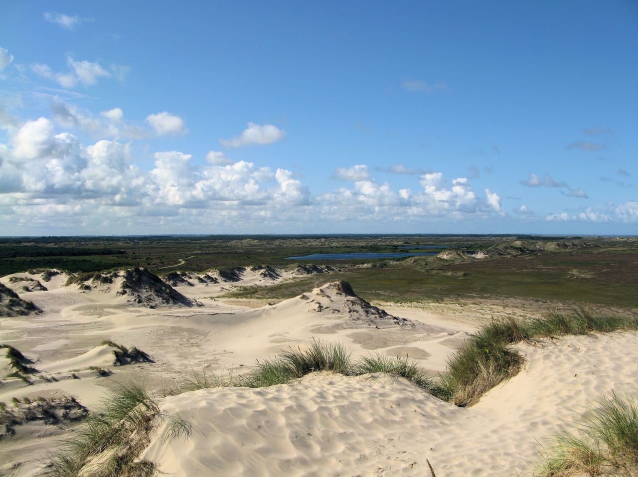 Les dunes de la Råbjerg Mile, avec la lande et un lac au fond.