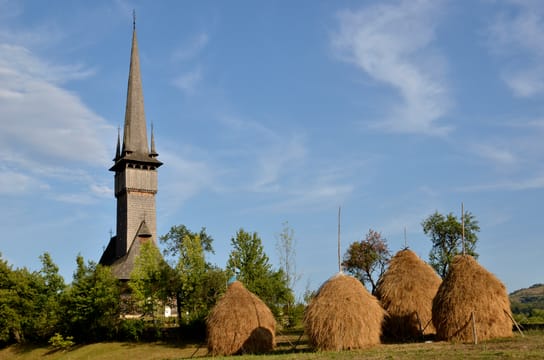 L’église de bois de Șurdești et sa flèche, au-dessus des meules de foin.