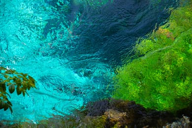 L’eau turquoise de l’Œil bleu, où naît la Bistricë.