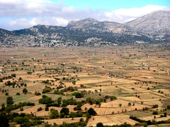 Le plateau du Lassithi et ses champs, au pied des sommets du Dicté.