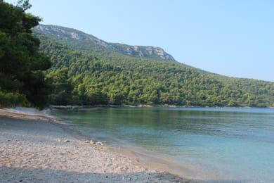 La crique de Vučine, près de Žuljana, entre l’eau claire et la pinède.