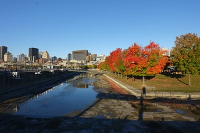 Le Vieux-Port de Montréal en automne, ses érables rouges et les tours du centre-ville.