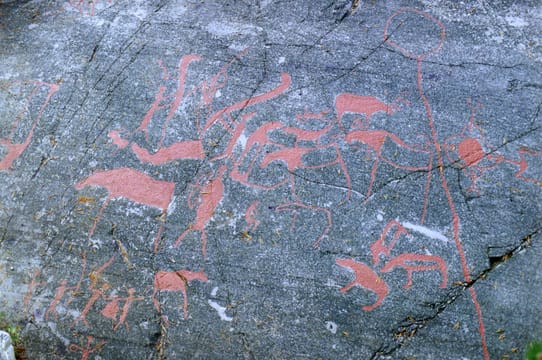 Les gravures d’Alta en 1992, encore peintes en rouge : un troupeau de rennes et des élans.