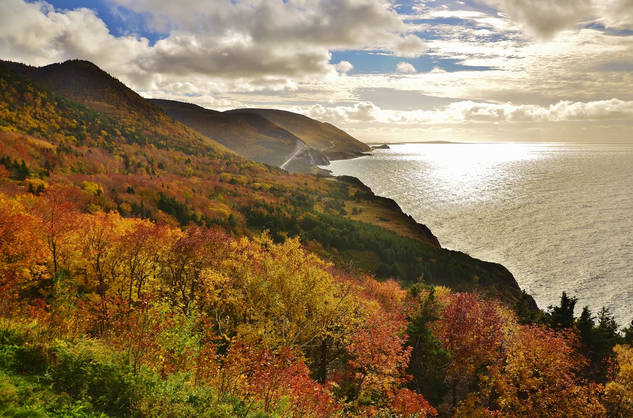 La côte du Cap-Breton en automne, ses forêts rouges et or plongeant dans le golfe.