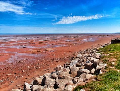 La baie de Fundy à marée basse, devant Grand-Pré : les vasières rouges du bassin des Mines.