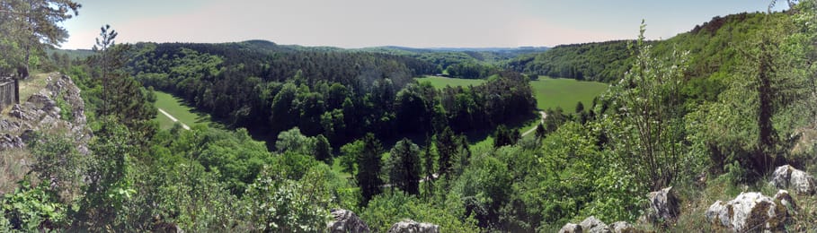 La vallée boisée de la Lesse au-dessus des grottes de Han.