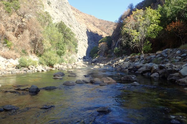 La Kings River entre les parois du Kings Canyon.