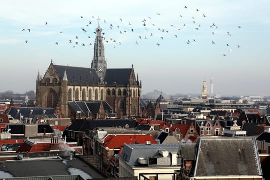 Haarlem vue des toits, dominée par la Grote Kerk.