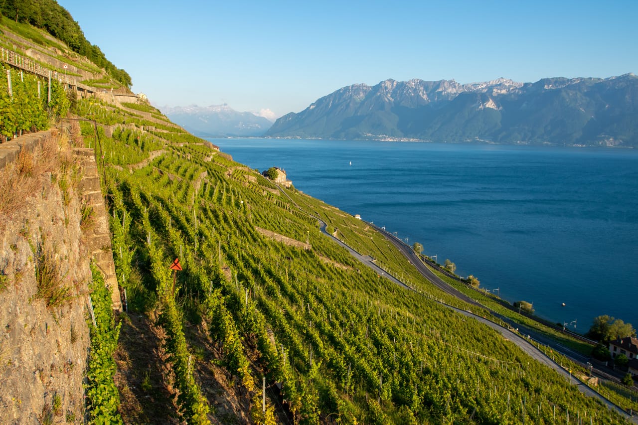Les terrasses de vigne de Lavaux plongent vers le Léman, face aux Alpes de Savoie.