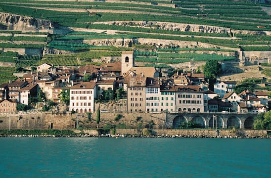Saint-Saphorin au bord du lac, au pied des terrasses de Lavaux.