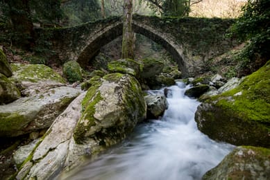 Le pont de pierre de Tsagarada au-dessus d’un torrent, dans la forêt.
