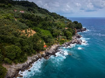 La côte égéenne du Pélion vue du ciel, entre forêt dense et mer bleue.
