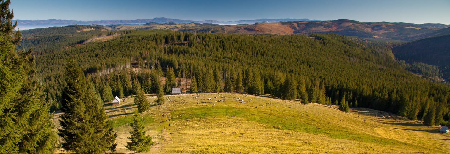 Rusinowa Polana en automne : cabanes de bergers, sapins et crêtes des Tatras.