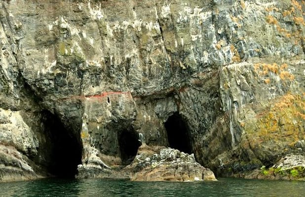 Les grottes des Gobbins, vues depuis la mer.