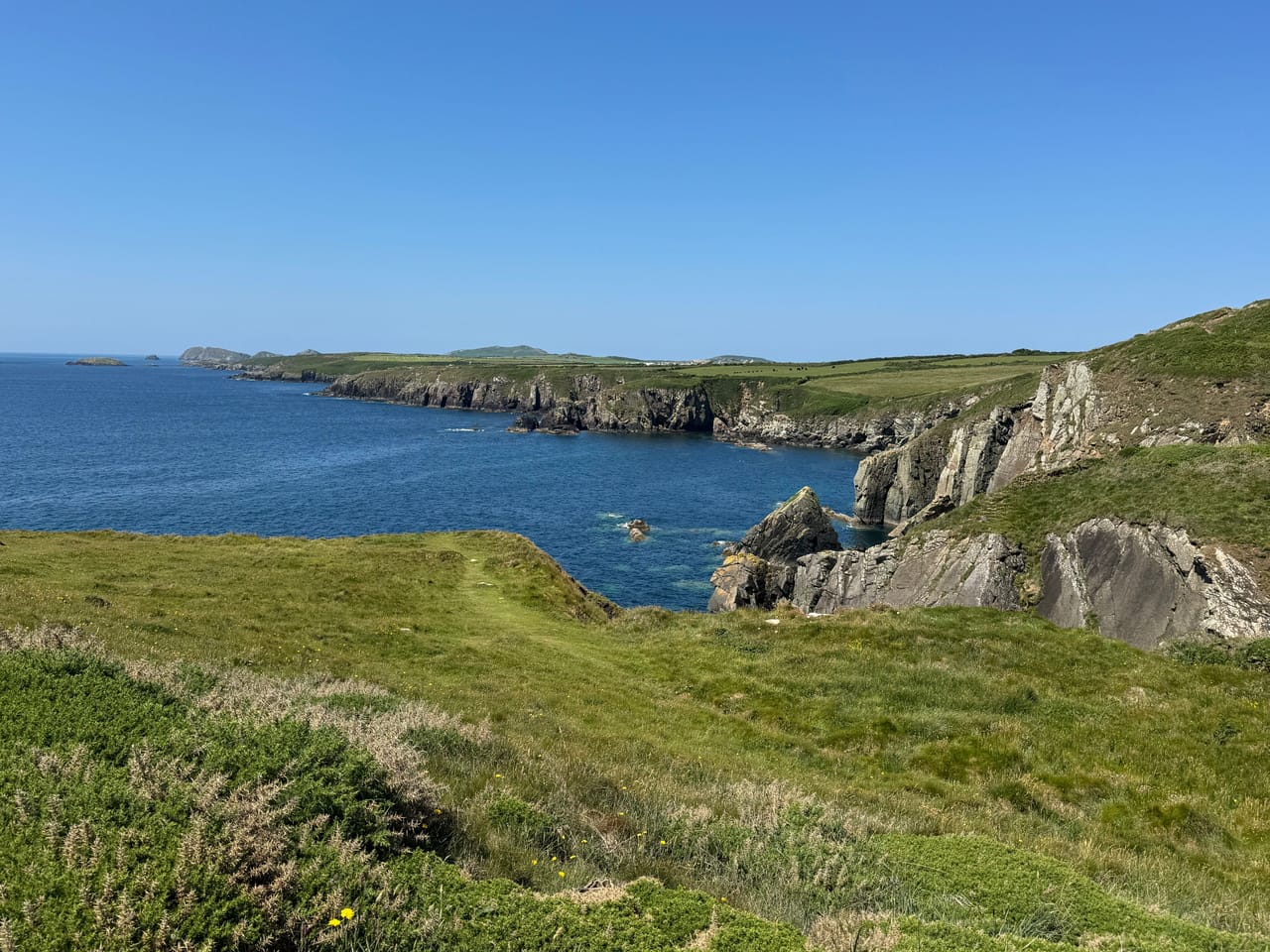 La côte de St Davids, ses falaises et ses prés au-dessus d’une mer bleue, dans le Pembrokeshire.