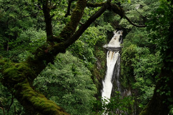 Les chutes de la Mynach sous la végétation, au pied de Devil’s Bridge.