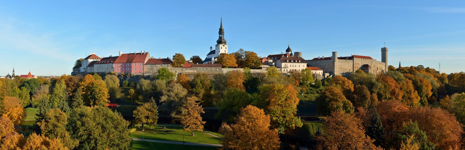 La colline de Toompea, ses remparts et ses clochers au-dessus des arbres d’automne.