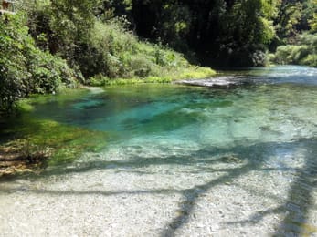 L’eau claire et turquoise du Syri i Kaltër, sous les arbres.