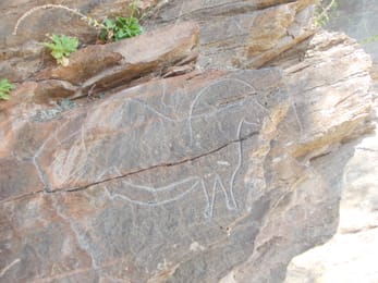 Le cheval de Mazouco, gravé de profil dans le schiste ; ses traits paraissent ici rehaussés de blanc.