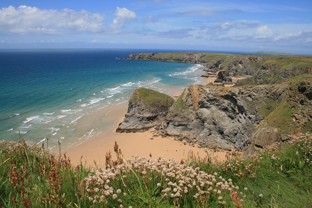 Bedruthan Steps à marée basse, avec l’armérie en fleur sur la falaise.