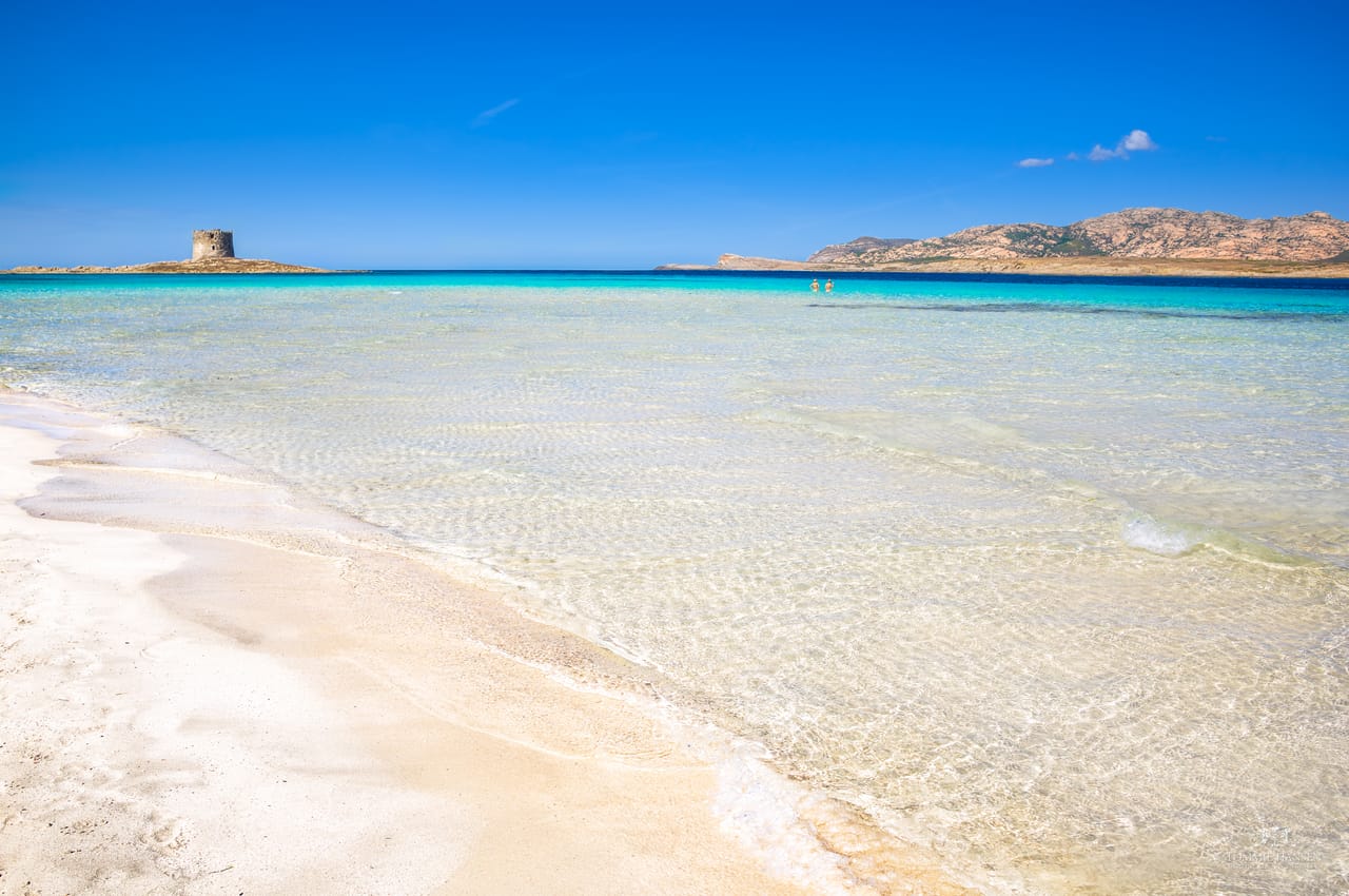 La Pelosa, à Stintino : le sable blanc, la tour de guet sur son îlot et l’Asinara à l’horizon.