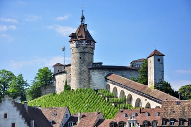 Le Munot au-dessus des toits et des vignes de Schaffhouse.
