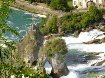 Les chutes du Rhin et leur rocher central en été.