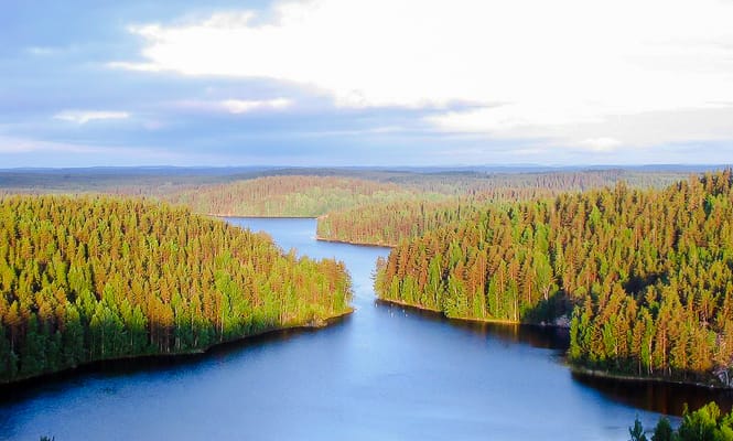 Un bras de lac entre les collines boisées de Repovesi, un soir d’été.