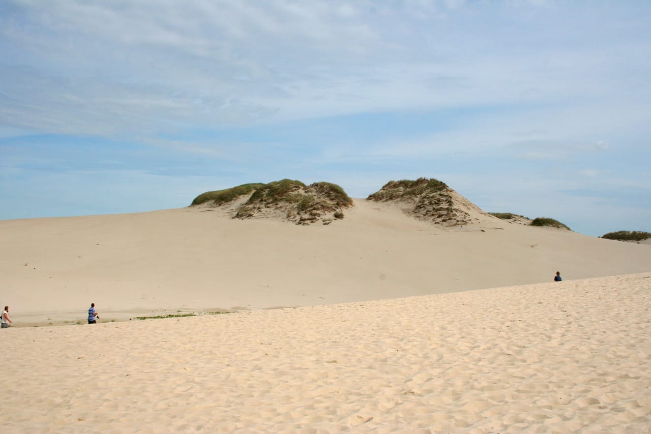 Les dunes de sable blanc du parc national de Słowiński, près de Łeba.