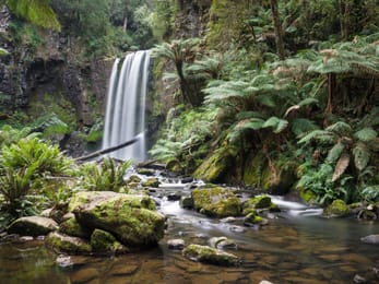 Les Hopetoun Falls entre les fougères arborescentes et les rochers moussus des Otways.